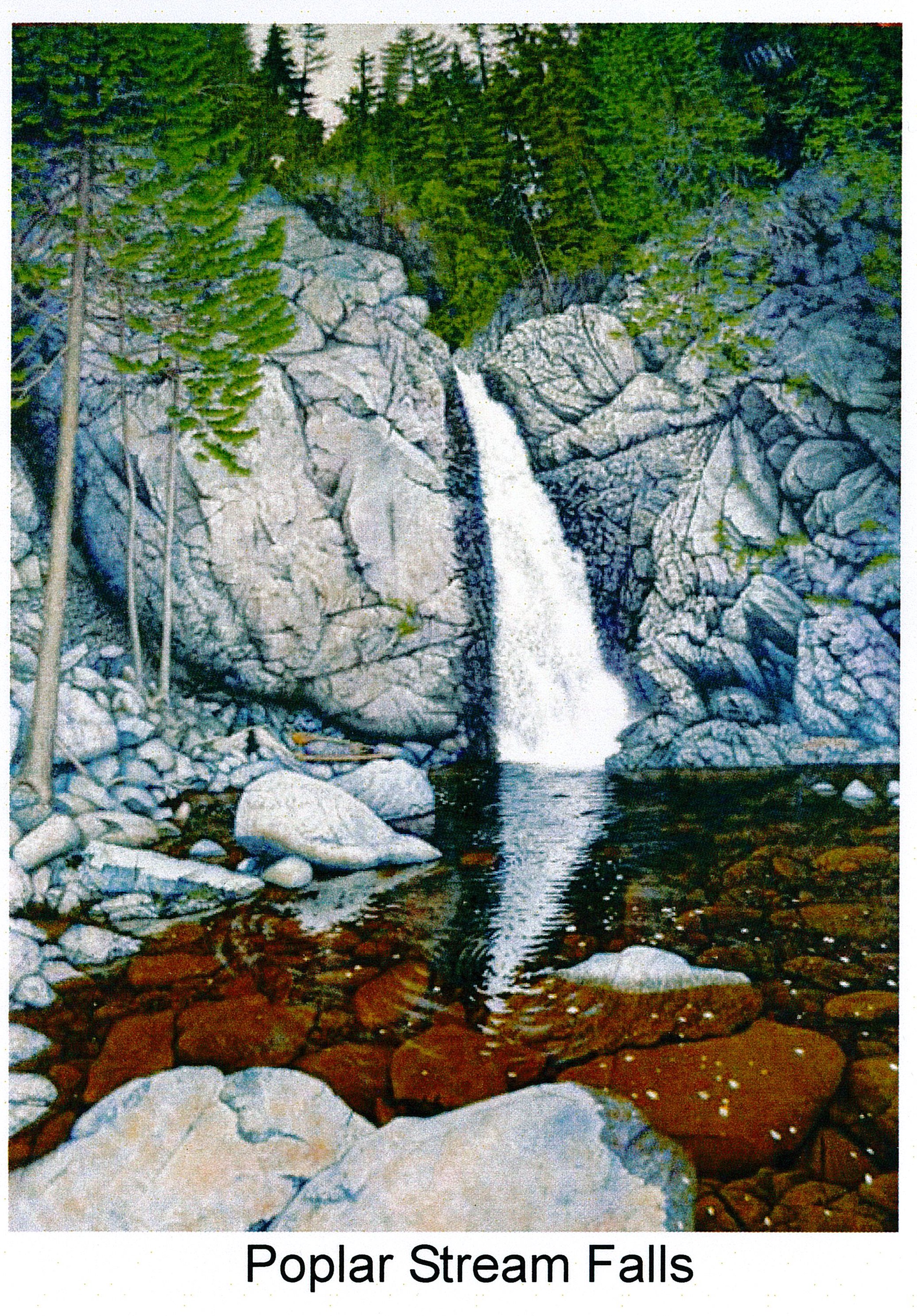 Poplar stream falls picture